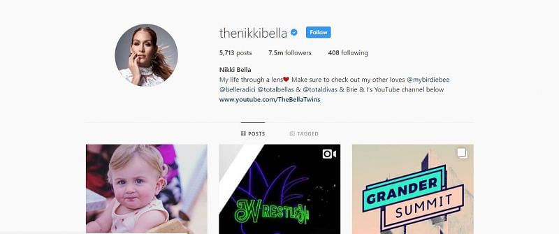 Nikki Bella has more than seven million followers on Instagram 