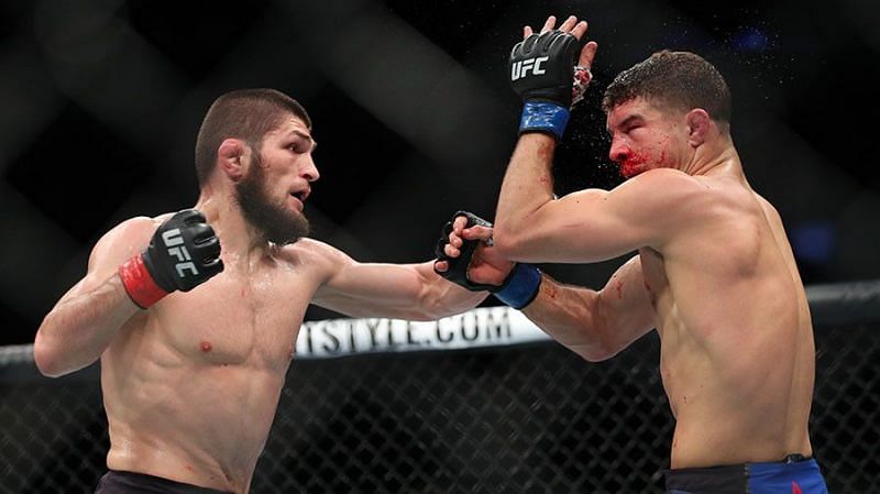 khabib iaquinta