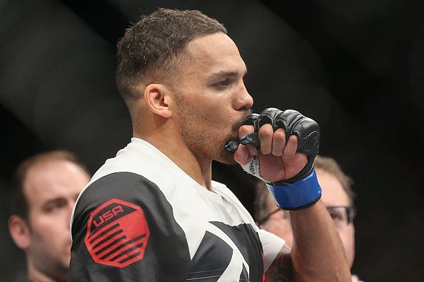 UFC Fight Night 137: Santos vs. Anders - Predictions and Picks