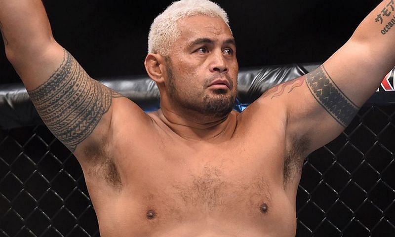 Image result for mark hunt