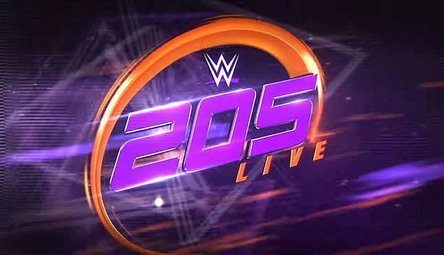 Image result for wwe 205