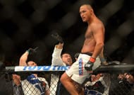 Dan Henderson - Showed the world he was far from washed up at UFC 199