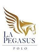 La Pegasus Polo Scales Indian Polo to New Heights, Partners with Asociación Argentina de Polo