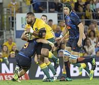 Wallabies' Tui to take rest of season off after fan incident