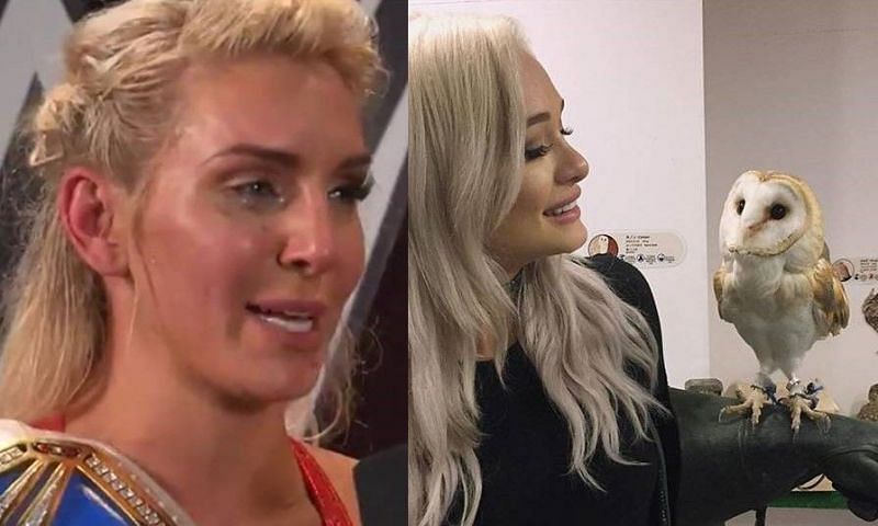 Charlotte Flair (left) and Scarlett Bordeaux (right) could be a highly intriguing feud in the WWE (*courtesy--Instagram; WWE.com)
