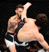 zabit kicks.jpg