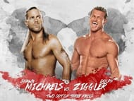 Image result for michaels v ziggle