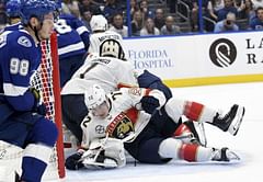 Panthers put G Roberto Luongo on injured reserve