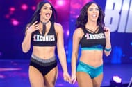 Women's tag titles could be highly beneficial for teams like IIconics.
