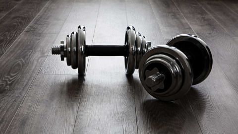 Dumbbells and Home Workout