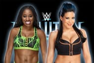 Image result for melina vs naomi