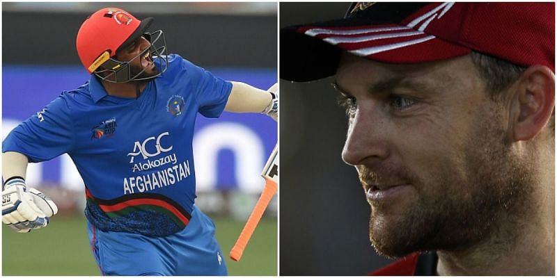 The likes of Mohammad Shahzad and Brendon McCullum will be in action