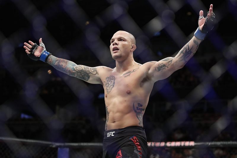 Anthony Smith - Contender for the Light-Heavyweight Championship
