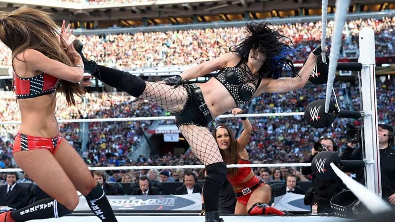 Paige vs brie bella