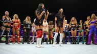 Some of WWE's top female stars competed in this battle royal.