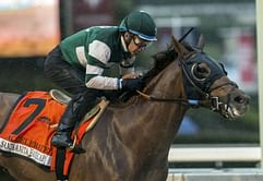 Accelerate tops entries for 14-horse Breeders' Cup Classic