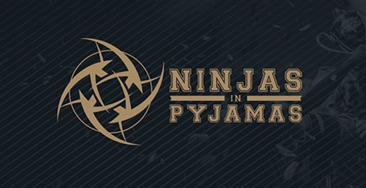 Image result for the ninjas nip