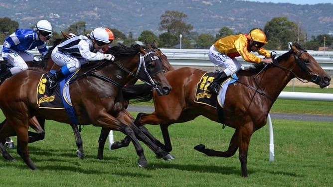 5 Incredible Benefits of Sports Betting