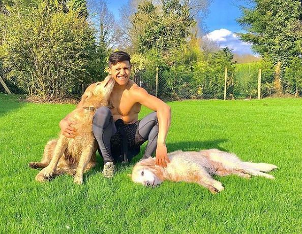 Atom and Humber give their daily dose of love to Alexis Sanchez