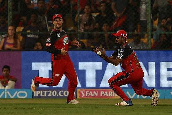 Image result for rcb dropping catch