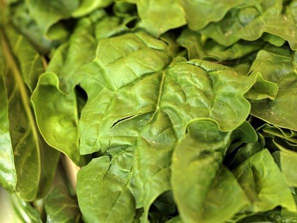 Spinach is a rich source of Iron