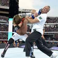 Seeing Shane McMahon steal the title might get fans excited about AJ Styles again.