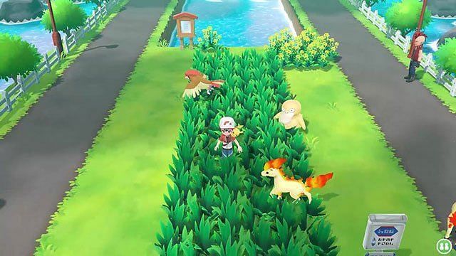 Overworld of wild Pok&Atilde;&copy;mon&Acirc;&nbsp;