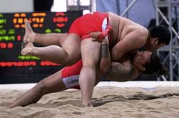 Koreas win UNESCO recognition of traditional wrestling