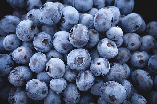 Blueberry are a rich source of Vitamin K.