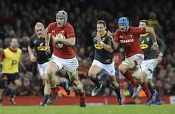 Wales secures November sweep with 20-11 win over Springboks