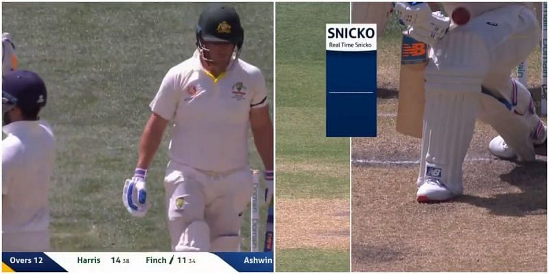 Aaron Finch would have survived had he used the DRS