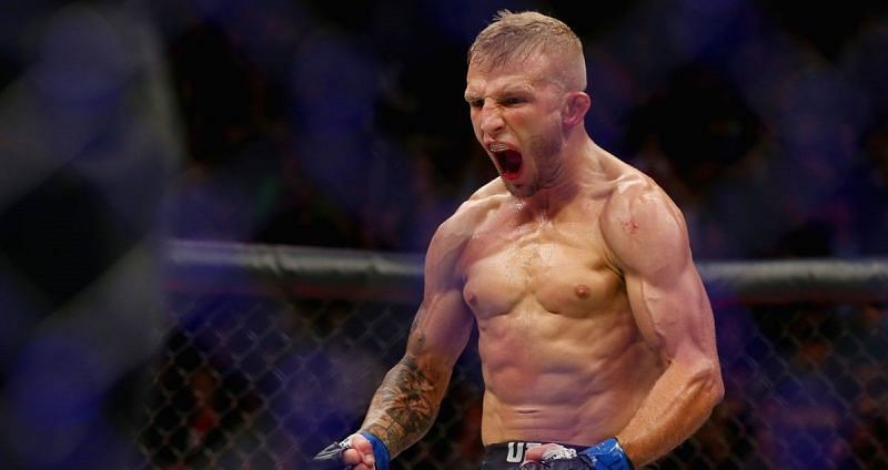 TJ Dillashaw is one of the most well-rounded fighters in MMA