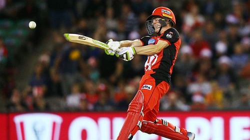 Sam Harper in action for the Melbourne Renegades