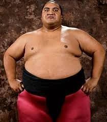 Yokozuna