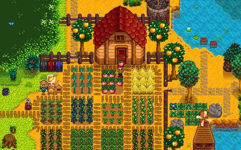 Image result for stardew valley