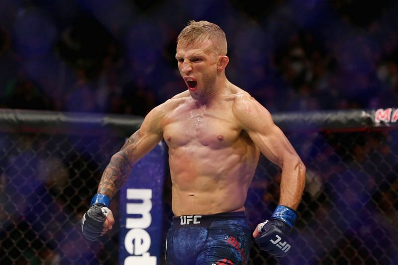 TJ Dillashaw&#039;s upcoming fight with Henry Cejudo has blurred the title picture at Bantamweight