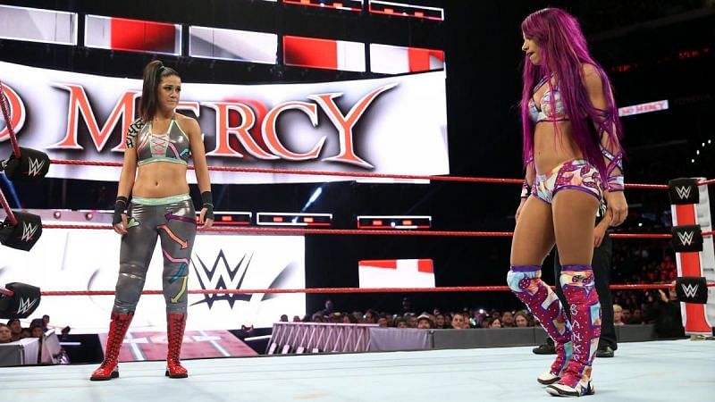 WWE has hinted at a women&#039;s tag team division.