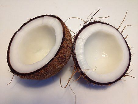 Coconut contain saturated fats.
