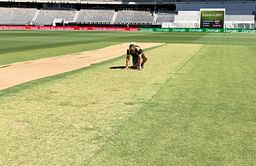 Perth Test: Nature of the pitch revealed