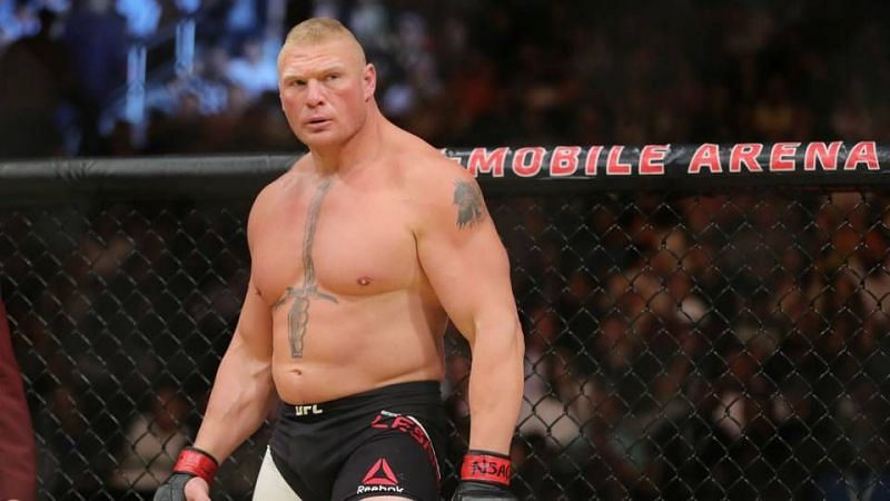 Image result for brock lesnar mma