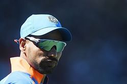 Occasions when play was held up in cricket due to bizarre reasons