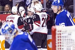 Hinostroza scores winner, Coyotes beat slumping Maple Leafs