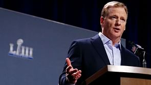 Goodell addresses no-call from NFC championship game