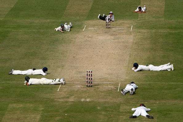 The cricketers fell flat against the bees