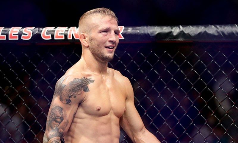 Was Dillashaw stopped too early in his fight with Cejudo?