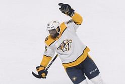 Subban to teen facing racial abuse: Keep pushing forward