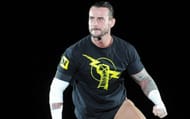 CM Punk replaced Wade Barrett as the new leader of 'The Nexus'