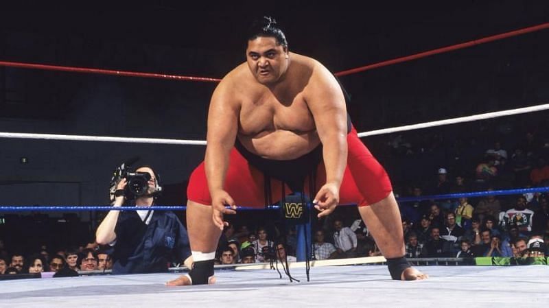 Yokozuna possessed supreme physical strength