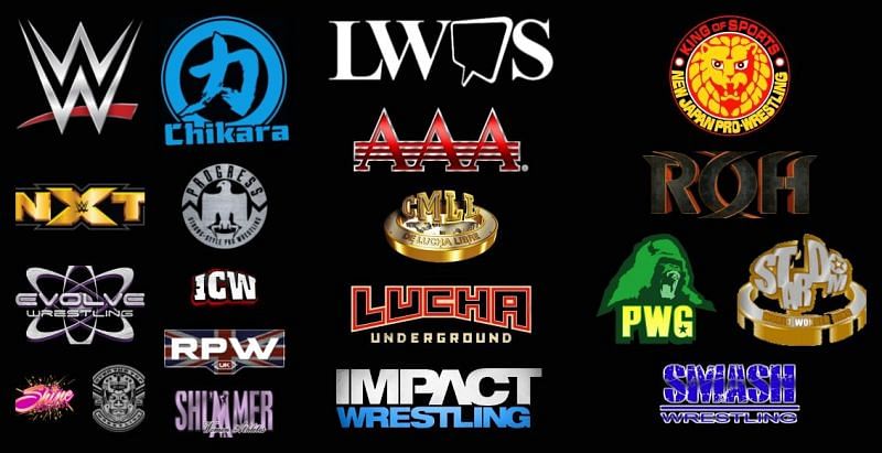 There are almost too many promotions to follow which is great for fans of pro wrestling.