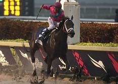City of Light wins $9 million Pegasus World Cup
